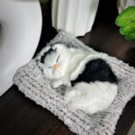 Sleeping Musical Cat - Meow sound